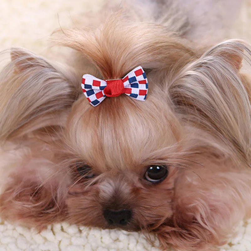 3 шт цвет случайный собака котенок Щенок Милый уход за питомцем цветочный твердый