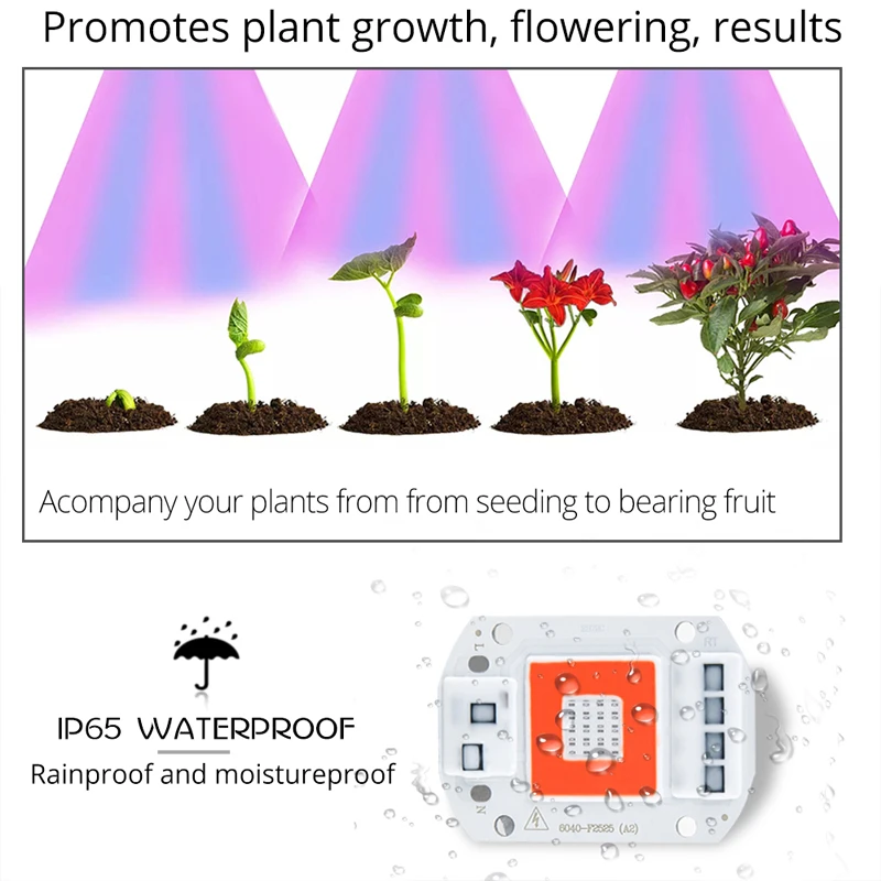 Фитолампа светодиодная полного спектра с отражателем 20/50 Вт 110 В/220 В|Промышленные
