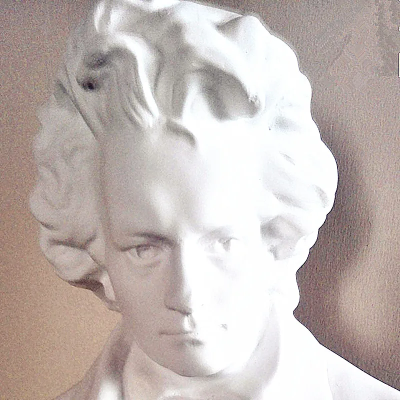 

34CM Ludwig Van Beethoven Head Portraits Bust Western Classical Statue Home Decoration Resin Craftwork Sketch Practice L1595