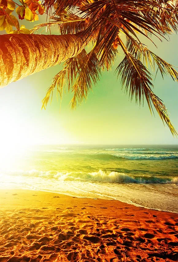 

5x7ft Palm Tree Sunset Sand Beach Sea Washable One Piece No Wrinkle Banner Photo Studio Background Backdrop Polyester Fabric