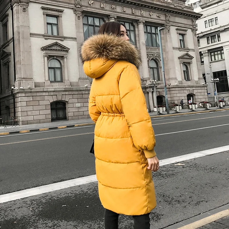 Большой Настоящее енота меховой воротник 2018 зимняя куртка Для женщин женские