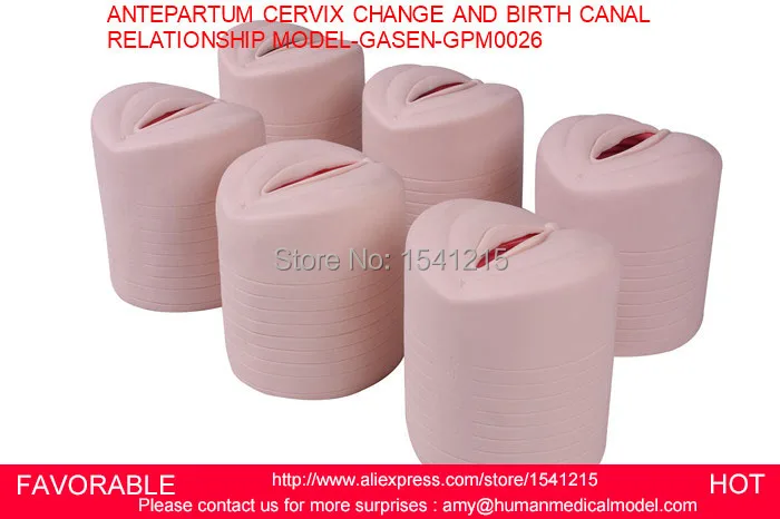 Симулятор доставки рабочей силы демонстрационный симулятор родовспоможения