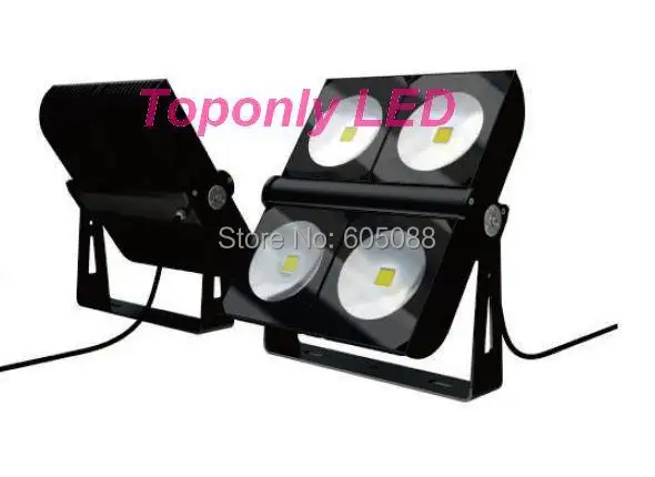 

2016 New Patented 300w High Power Led Floodlight LED Landscape Projecting Lamp by Cutting-edge Technology&Unique Optical Design