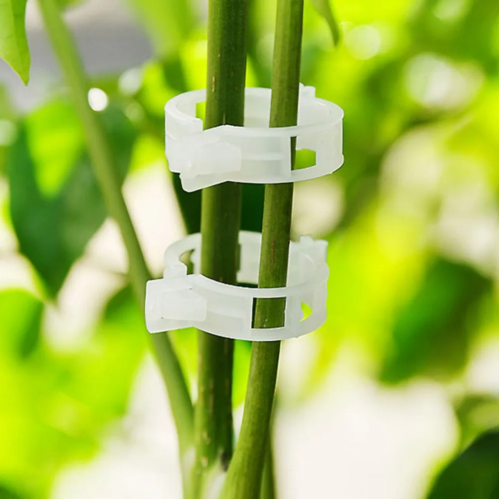 50 шт. 23 мм зажимы для растений овощей садовых теплиц | Дом и сад