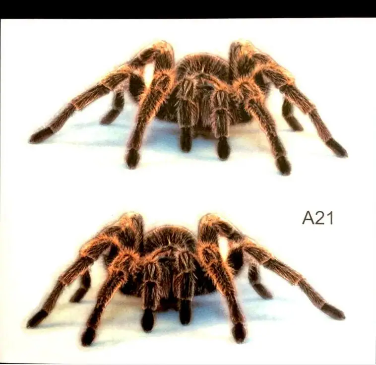 3D Автомобильная наклейка Имитация животных бампер s для паука геккона Скорпиона