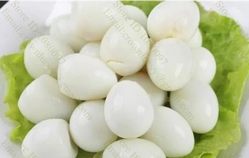 Профессиональная машина для очистки Перепелиных яиц от кожуры электрическая