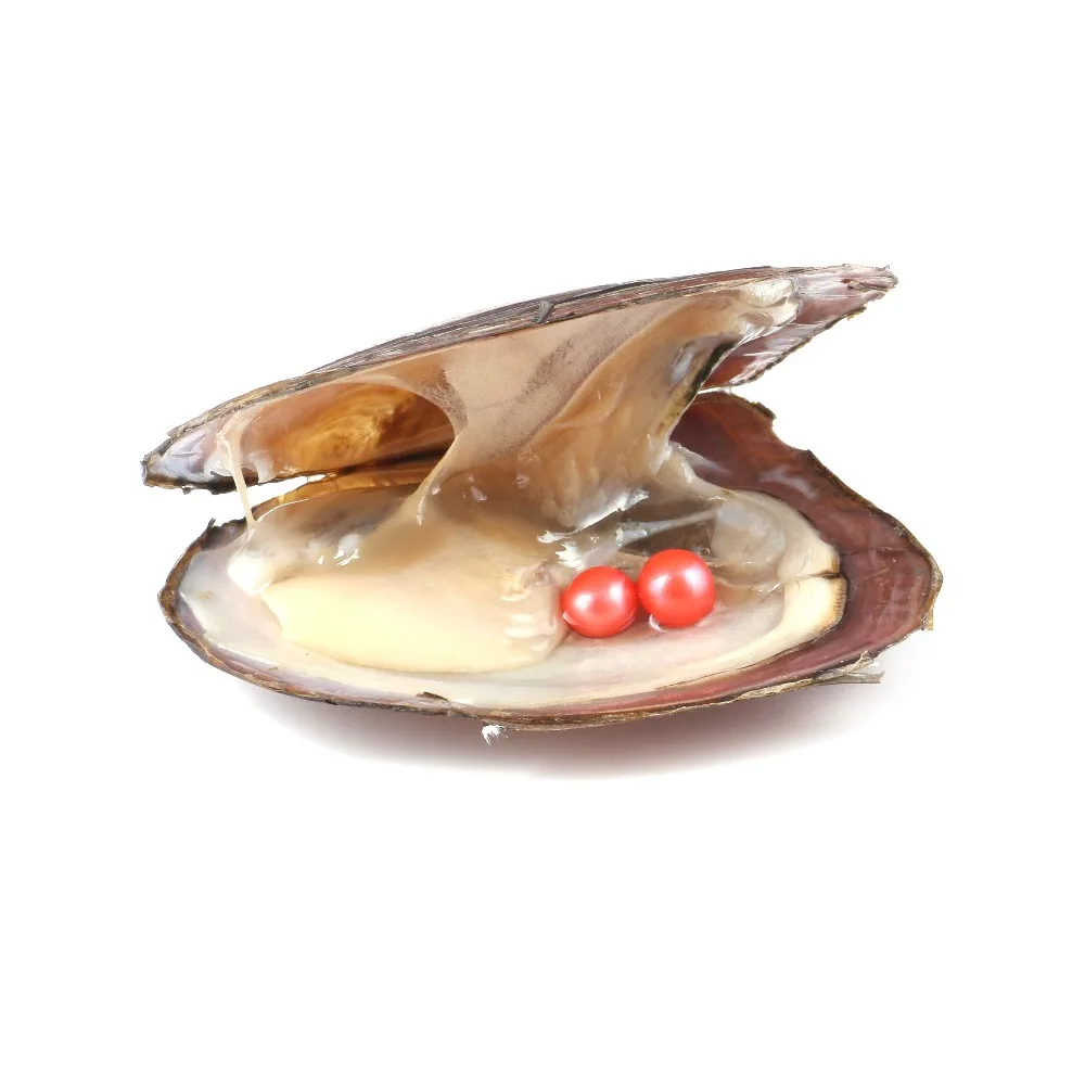 Pearl Oyster Freshwater Cultured Love Wish with 7-8mm Round Pearls Inside Random Color | Украшения и аксессуары