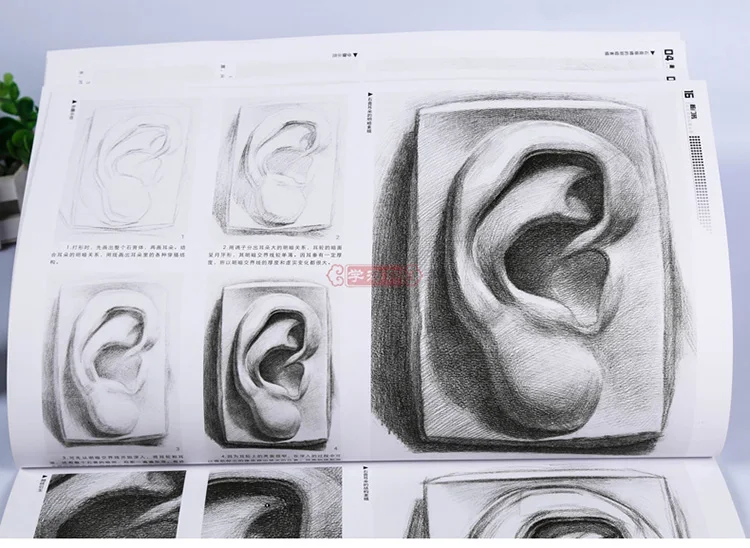 От пяти чувств до штукатурки голова эскиз запись книги основной учебник книги искусства