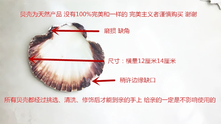 1 шт Marin shell Жемчуг реквизит для фотосессии perpsonal помолвка Свадьба предложение DIY кольцо Подушка ручной работы