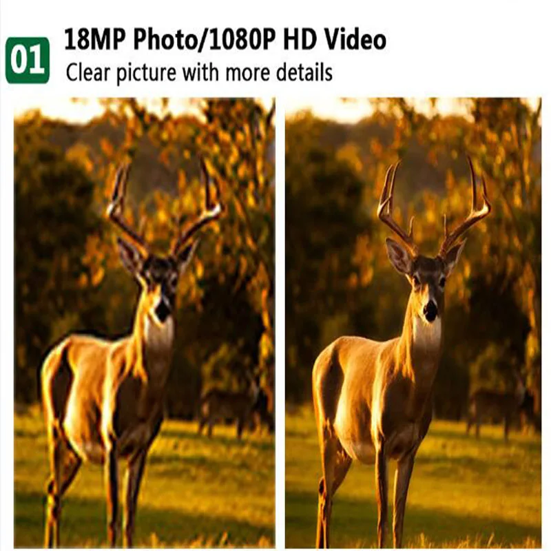 Bolyguard PhotoTrap Камера 18MP ночь 1080 P chasse дикой природы пробный охоты Камера 120 градусов черный ИК Широкий формат Водонепроницаемый видео