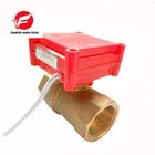 Небольшой мини CWX-20P 1.0B 2nm фотоаппаратов моментальной печати 7s DN8 DN25 DC3.6-6V DC12V CR01 CR02 CR05 Латунь Женский BSP неполнопроходной моторизованный шаровой клапан