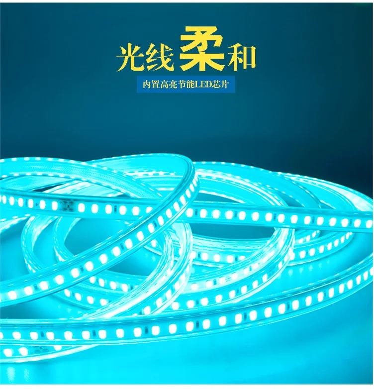 1000m Pack, Outdoor 220V LED Flexible Neon Stripe of Ocean Blue with 5730 Beads / 100m per Spool / 3 Years Warranty