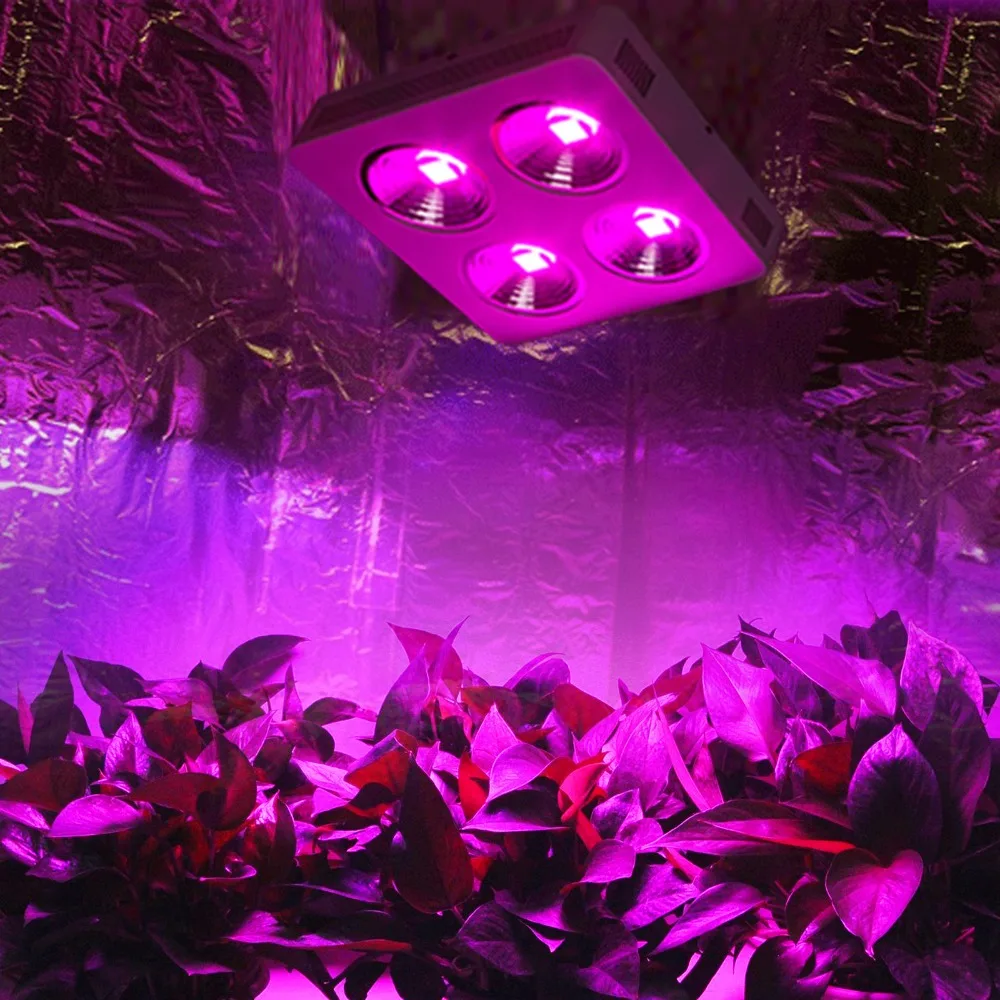 

Новейшая светодиодная сельскохозяйственная лампа полного спектра COB 800 Вт, высокая мощность для домашней фотосъемки, для медицинских расте...