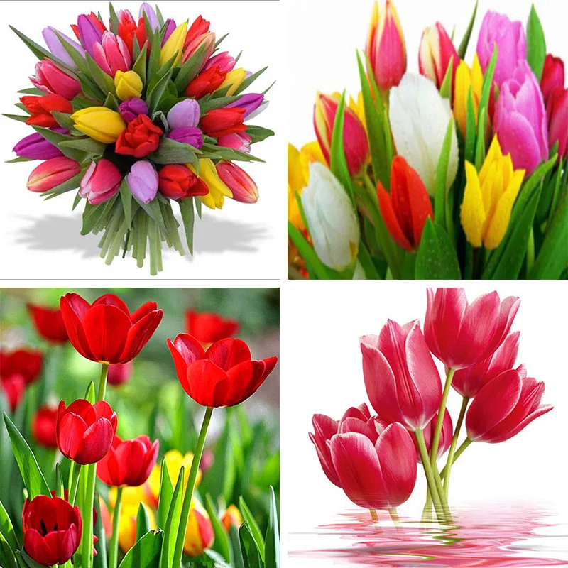 Алмазная живопись цветы тюльпаны 5D сделай сам полноразмерная вышивка картина