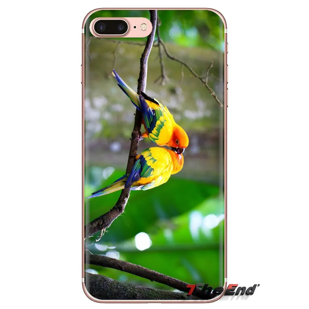 Чехол для мобильного телефона Huawei G7 G8 P7 P8 P9 P10 P20 P30 Lite Mini Pro P Smart Plus 2017 2018 2019 Love Birds