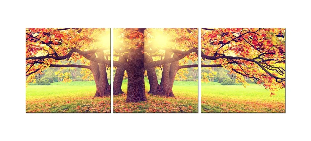 3 шт. Настенная картина на холсте Осень Утро Восход солнца дерево печать постер