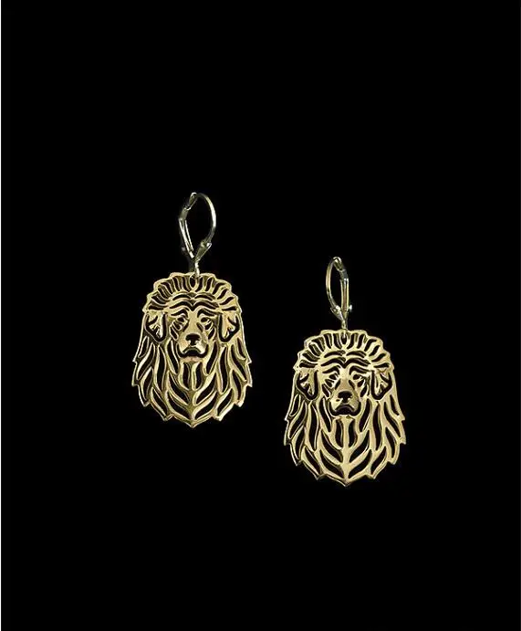 Уникальные Полые Тибетские серьги Mastiff ручной работы|earring tape|earrings onyxearring organization |