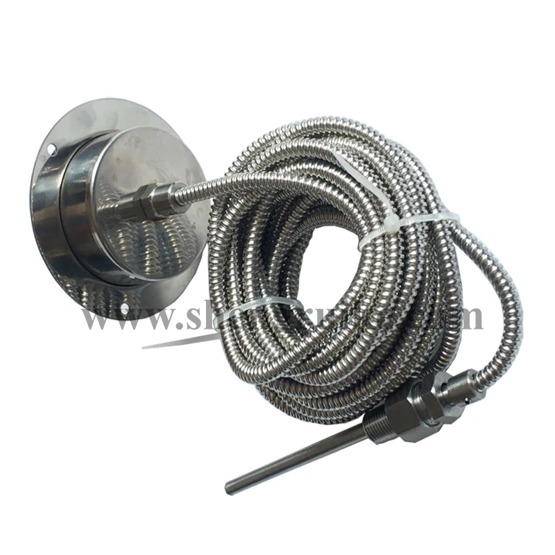 Капиллярный термометр 2 5 дюйма|Детали инструментов| |