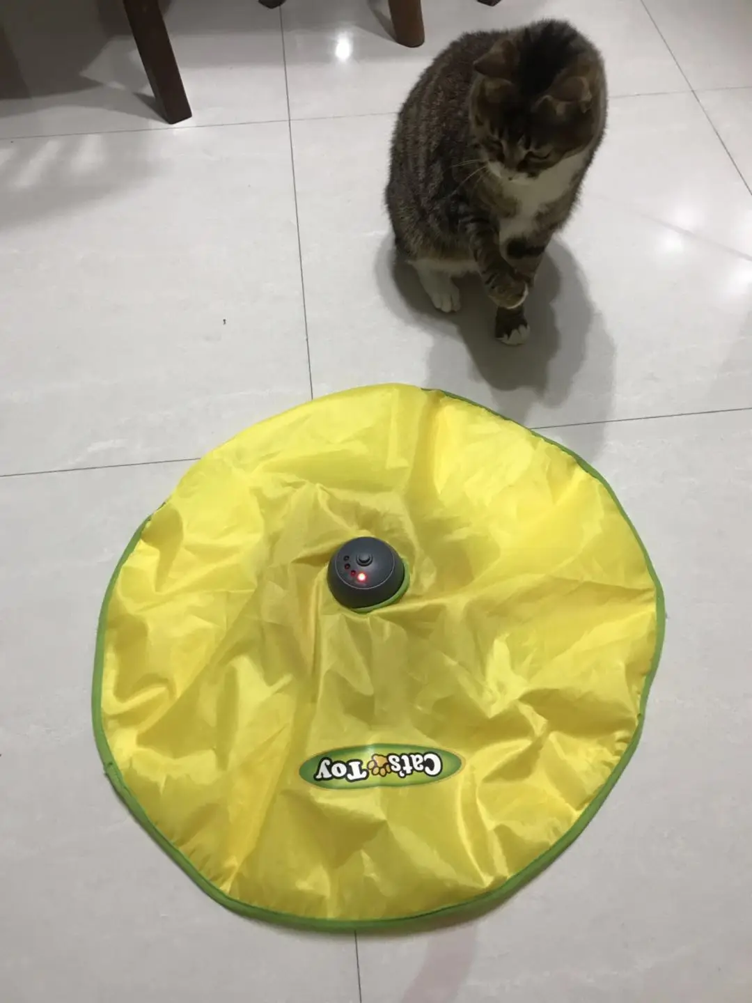 Забавная игрушка для кошек, Интерактивная игрушка для кошек, котенок, мышь, хвост, погоня за интерактивной кошкой, игрушки для крыс, игра, как показано по телевизору