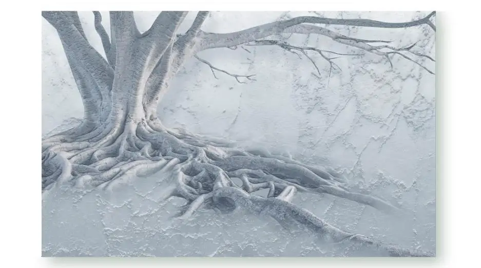 Роскошные тисненые 3d обои на заказ рельефные с корнями для гостиной фоновые