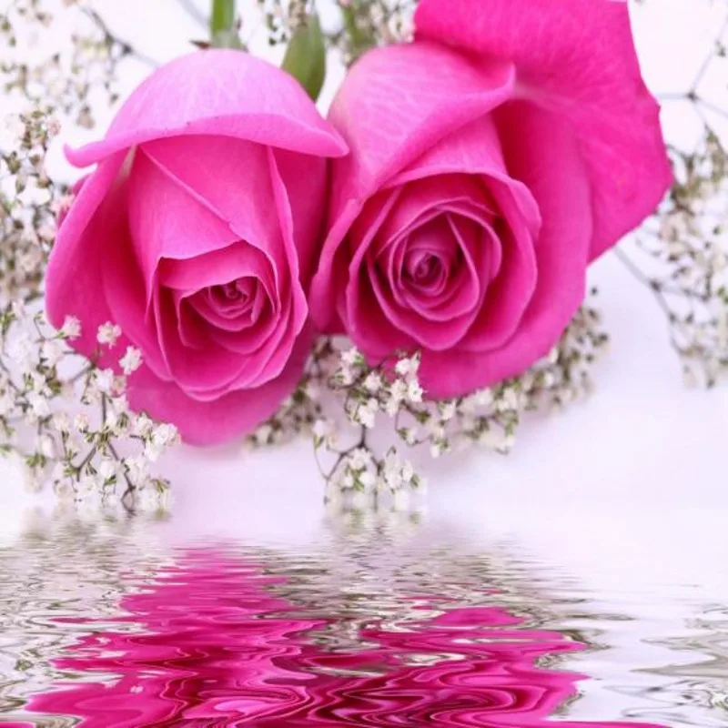 Фото обои 3D на заказ Большая фреска ТВ фон гостиная диван спальня роспись с