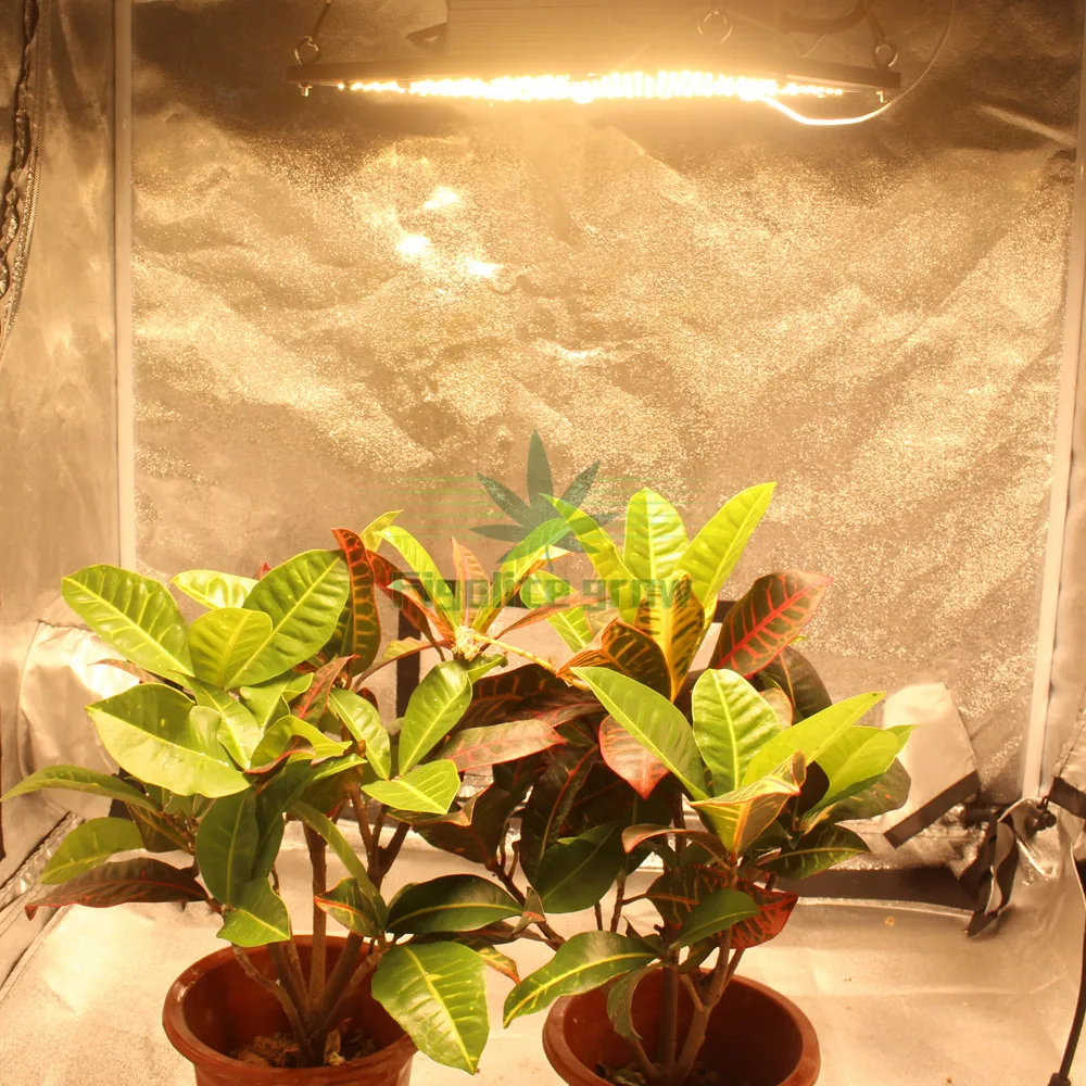 Figolite grow Квантовая доска с регулируемой яркостью УФ ИК светодиодный светильник для выращивания QB288 LM301B 120 Вт 240 Вт 320 Вт 480 Вт с драйвером Meanwell 7 лет гарантии