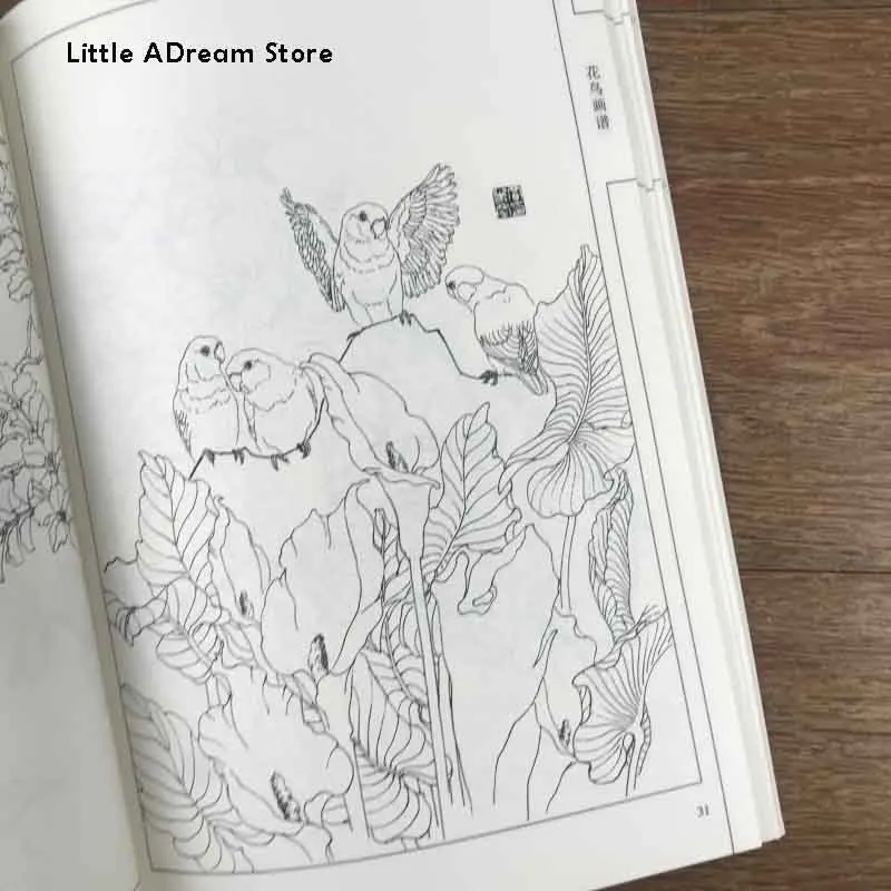 Chinese Line Drawing Flower and Bird Painting Spectrum Book / Traditional Gong Bi Bai Miao Art Textbook |