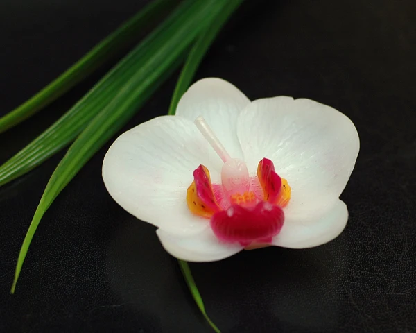 (Упаковка из 10 свечей) Милые свечи фаленопсис Свадебные вечерние подарки на день