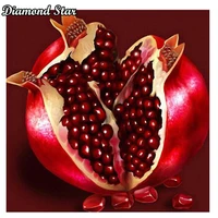 full square 5d diy diamond painting fruit pomegranate embroidery cross stitch mosaic home decor gift wedding hobby crafts