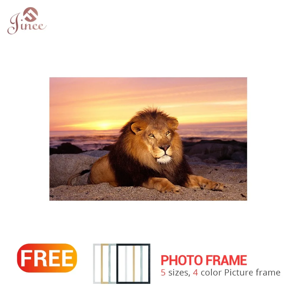 

Full Square Round Drill 5D DIY Diamond Embroidery Sunset Lion Diamond Painting Cross Stitch Rhinestone Mosaic Decoration Gift
