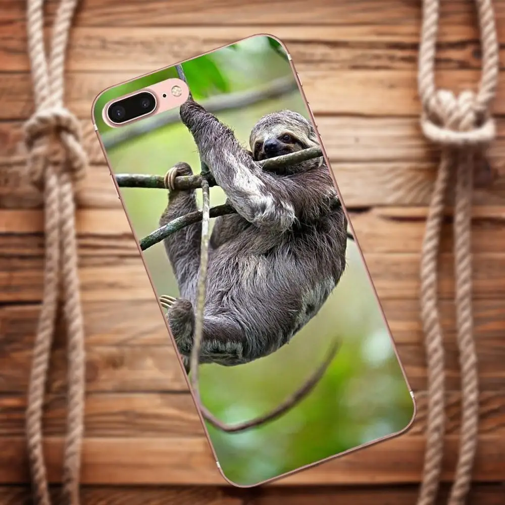 Vvcqod Soft TPU Custom Phone For Samsung Galaxy A3 A5 A7 J1 J2 J3 J5 J7 2015 2016 2017 Sloth Hanging Fat Sleepy Furry | Мобильные