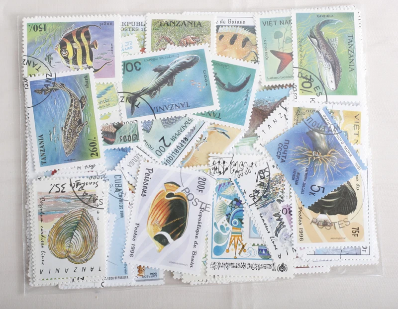 20 шт тема печать морские животные раковина для рыбы марки все отличается от