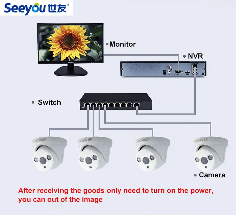 Seeyou 1080 P безопасности Камера комплект NVR наблюдения IP sy g2a2d/sy 3ga2d видеонаблюдения