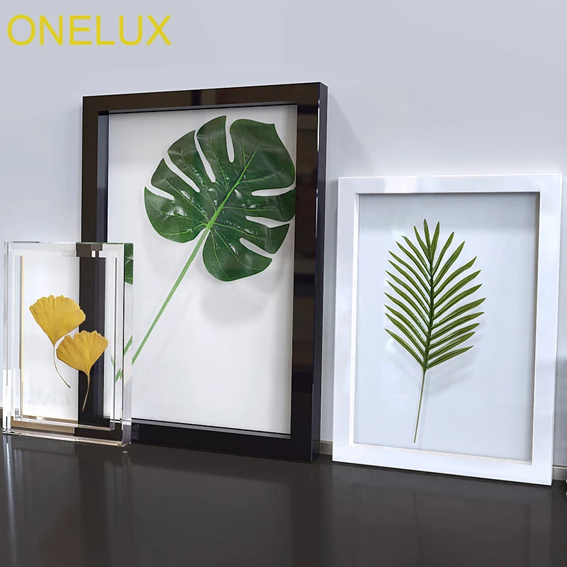 ONELUX наборы акриловых ботанических образцов рамка с магнитами Lucite