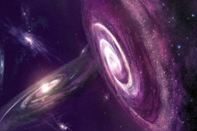 Декоративный олень Настенная картина Искусство диких животных Печать домик декор, 32x48 дюймов, белый и серый