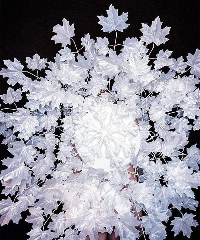 Женский белый стиль сексуальный женский ночной клуб DJ певец джаз модель шоу