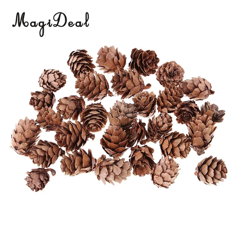 Маленькие Натуральные сушеные сосновые шишки 30 шт. цветы оптом для