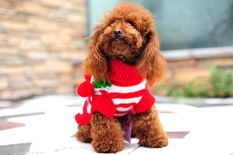 Новогодний для домашних собак свитер животных одежда Одежда рождественских