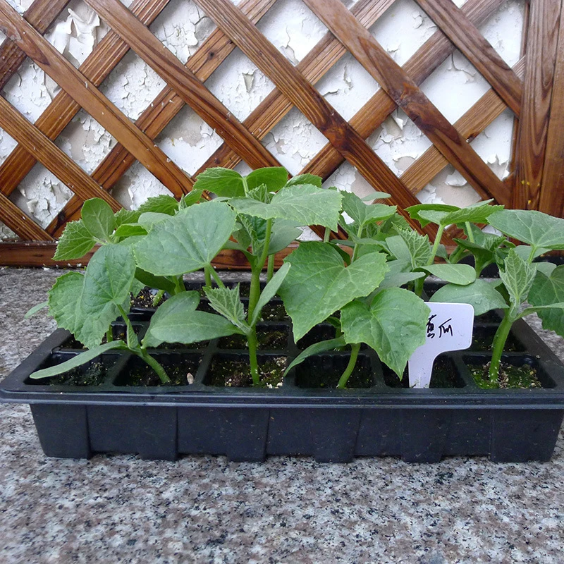 3 шт./компл. черный Пластик коробка для рассады влажности клонирования лоток