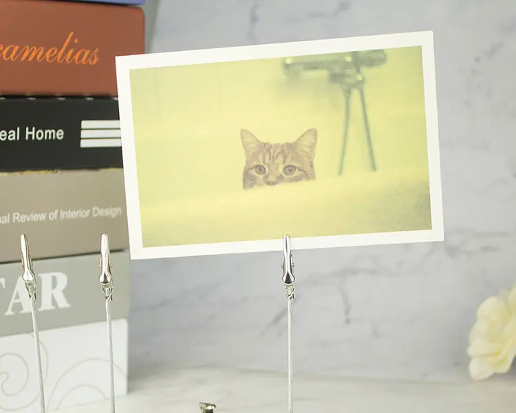 Лот 10 шт DIY ремесло Металл " проволока памятная Фотография держатель зажим, глина и зажим для торта аксессуары, антикоррозийное хромированное покрытие, длина 10,2 см