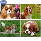 Картина из страз Kufwkey, живопись с собакой карлевальщика, Чарльза спаниеля, полная вышивка, мозаика с животными, для творчества