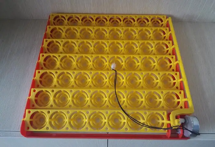 

55 special egg automatic hatching machine plate of chicken quail egg dish bird dove