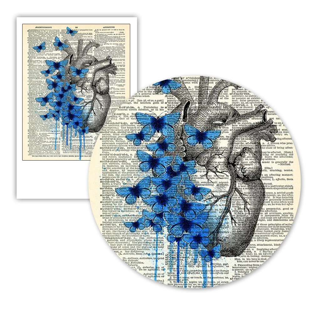 Сердце Анатомия человека Бабочка Анатомическое печать на винтажном словаре