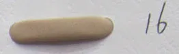 16-beige 1 Катушка лайкра шнур прошитый эластичный лайкра шнур ткань лайкра полоса - Цвет: 16-beige