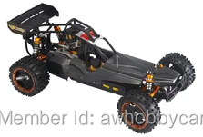 Model Car 30cc RC Racing Buggy 