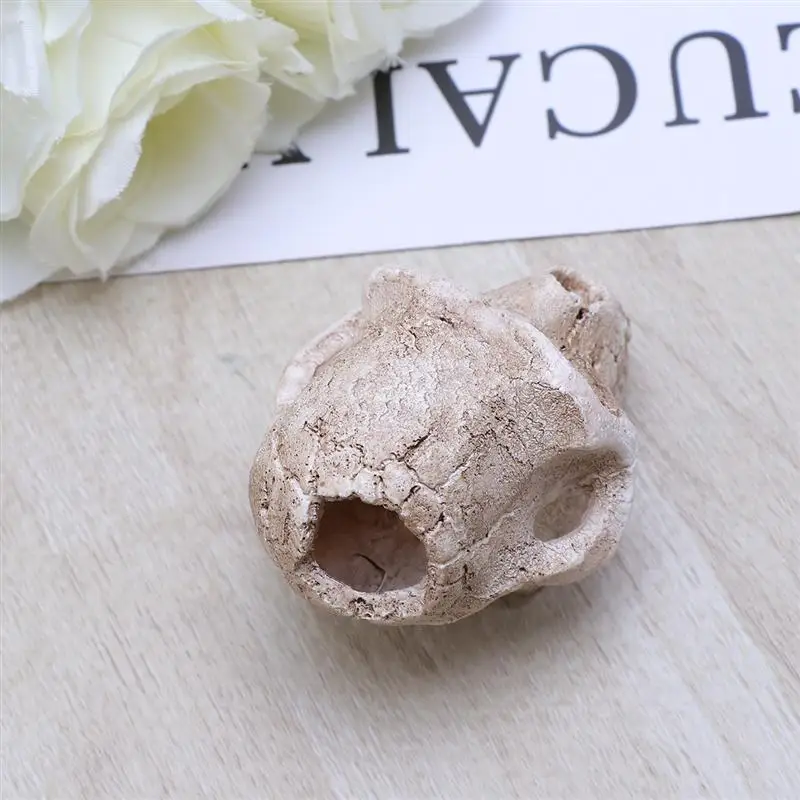 1 шт. декоративный Прохладный нетоксичный аквариум из смолы Террариум