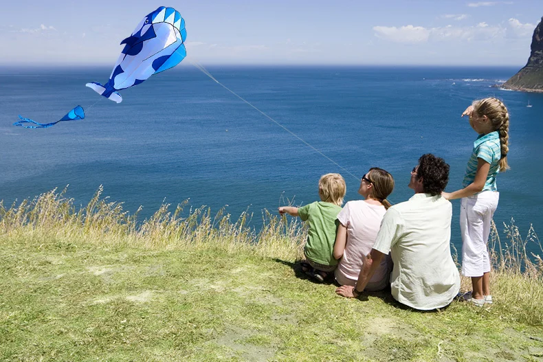 

New Arrive Outdoor fun Sports Single Line Software Whale/ Dolphin Kite / Animal Kites With Handle and 100m Line Good Flying