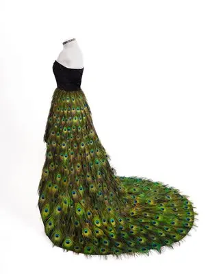 1.6m dress 1,6 м сексуальное длинное платье с павлиньими перьями, вечерние, для сцены, шоу, DJ DS, роскошная юбка, певица, модель, подиум, одежда для выступлений - Цвет: 1.6m dress