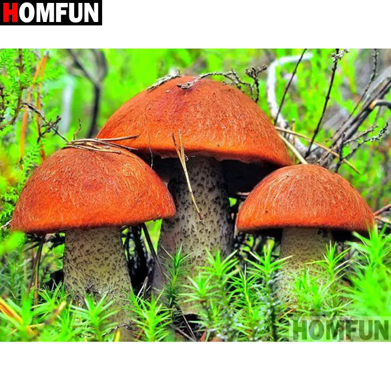 HOMFUN Full Square/Round Drill 5D DIY Diamond Painting &quotMushroom landscape&quot Embroidery Cross Stitch 3D Home Decor Gift A17585 | Дом и