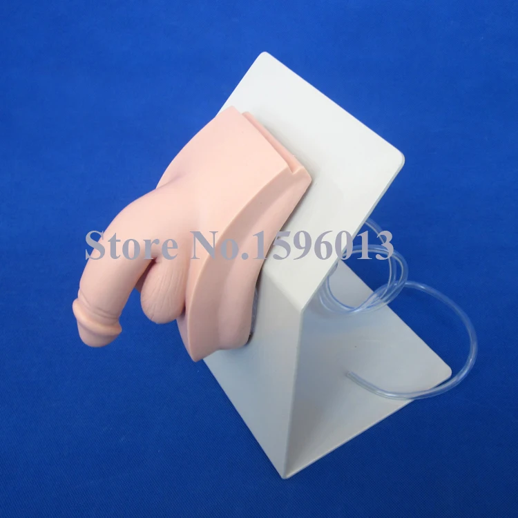 Лидер продаж мужской Катетеризация тренажер мочевого пузыря модель ухода |